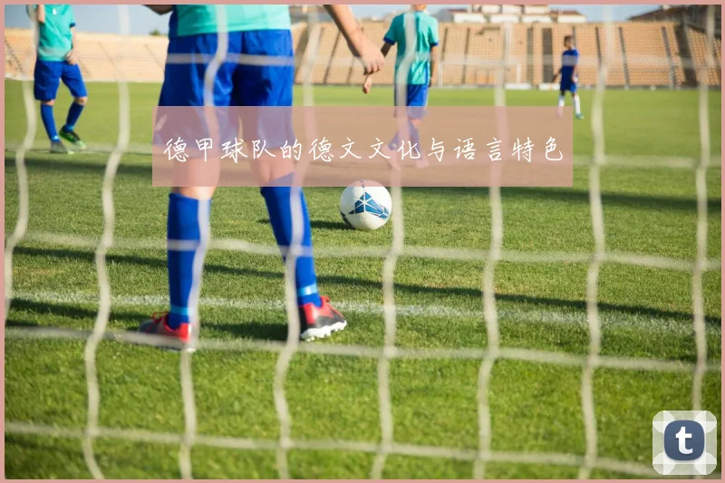 德甲球队的德文文化与语言特色