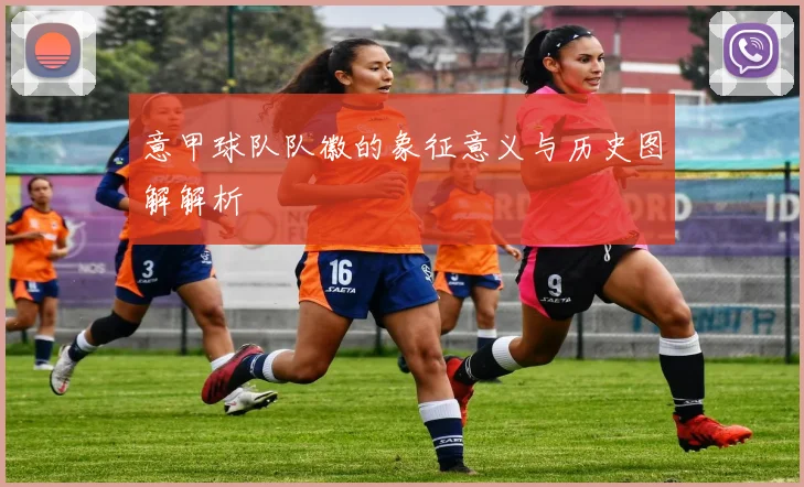 意甲球队队徽的象征意义与历史图解解析