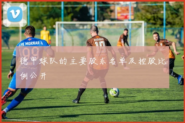 德甲球队的主要股东名单及控股比例公开