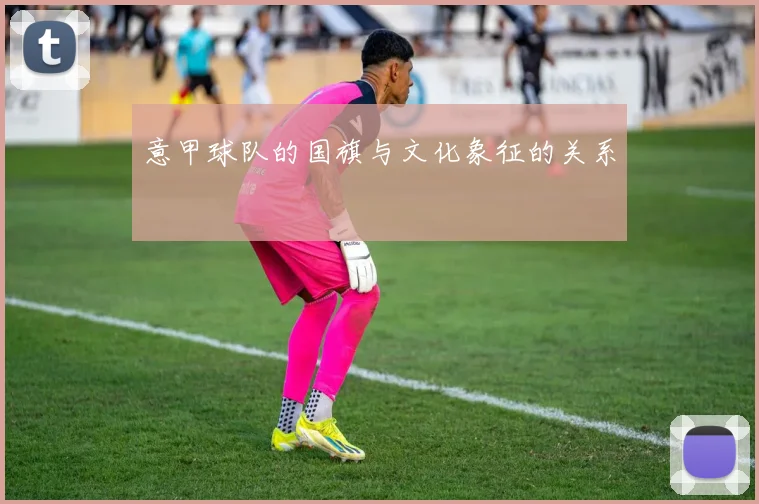 意甲球队的国旗与文化象征的关系