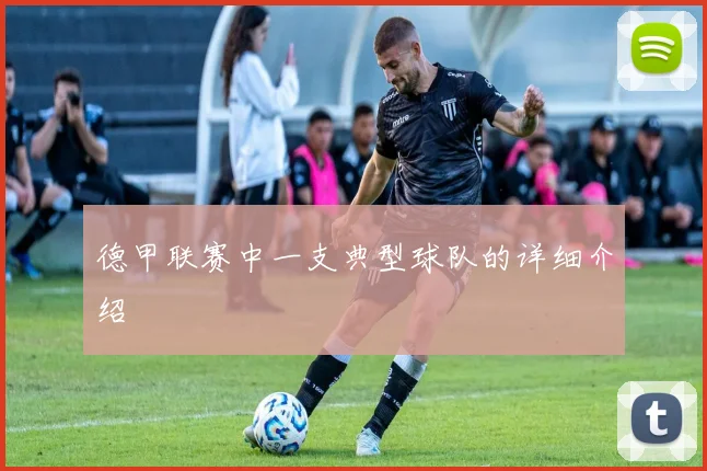 德甲联赛中一支典型球队的详细介绍